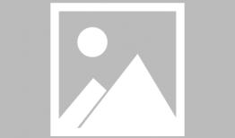 漫画达人,描绘生活的艺术与智慧